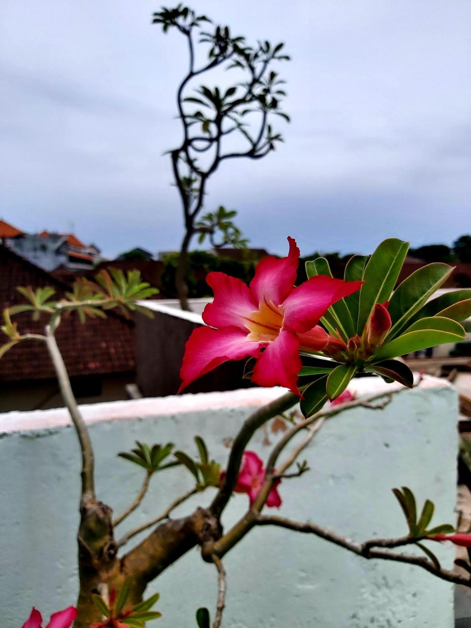 Genta House Hotel Kuta  Ngoại thất bức ảnh